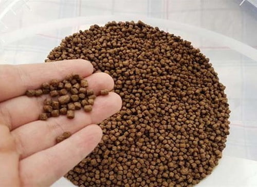 تصویر 3 از خوراک ماهی کپور + تغذیه کامل و هضم آسان